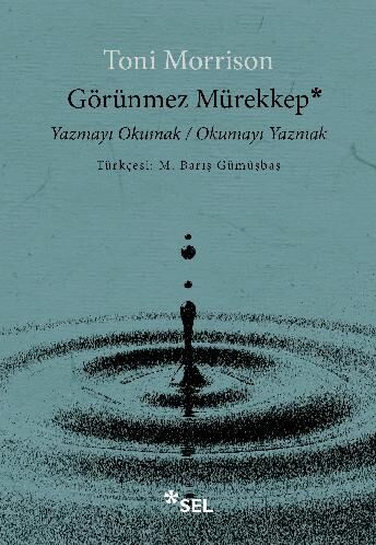 Görünmez Mürekkep Yazmayı Okumak / Okumayı Yazmak Sel Yayıncılık