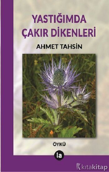 Yastığımda Çakır Dikenleri La Kitap Yayınları