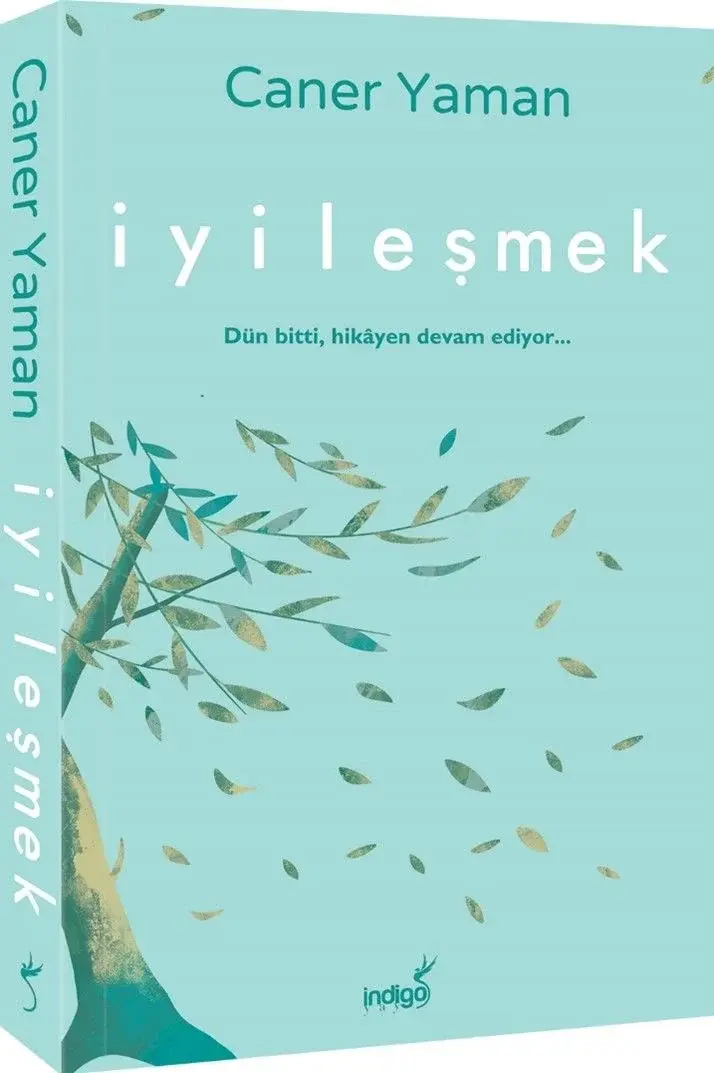 İyileşmek İndigo Kitap