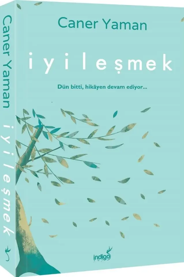 İyileşmek İndigo Kitap