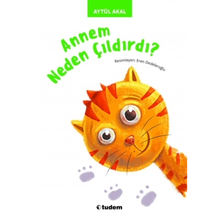 Annem Neden Çıldırdı Tudem Yayınları