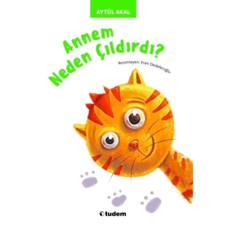 Annem Neden Çıldırdı Tudem Yayınları