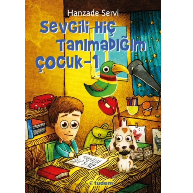 Sevgili Hiç Tanımadığım Çocuk Tudem Yayınları