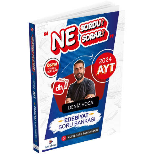 Ne Sordu Ne Sorar AYT Edebiyat Soru Bankası Dizgi Kitap Yayınları