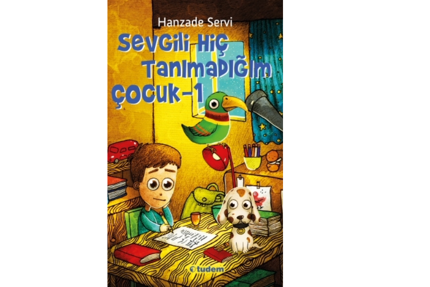 Sevgili Hiç Tanımadığım Çocuk Tudem Yayınları