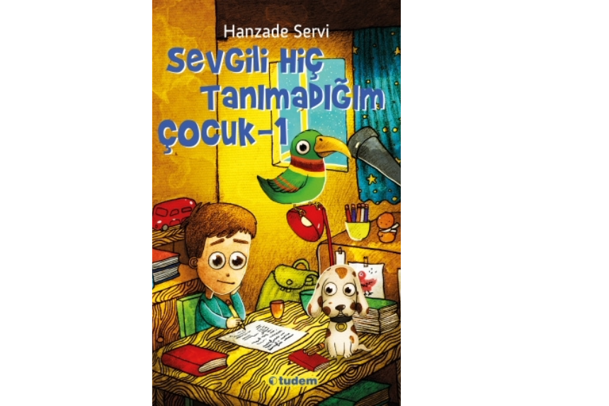 Sevgili Hiç Tanımadığım Çocuk Tudem Yayınları