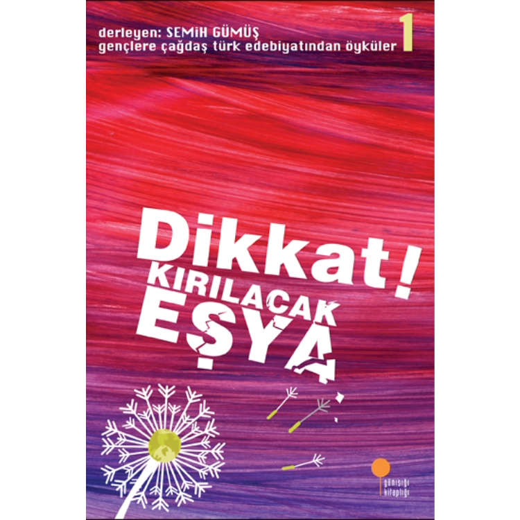 Dikkat! Kırılacak Eşya Günışığı Kitaplığı