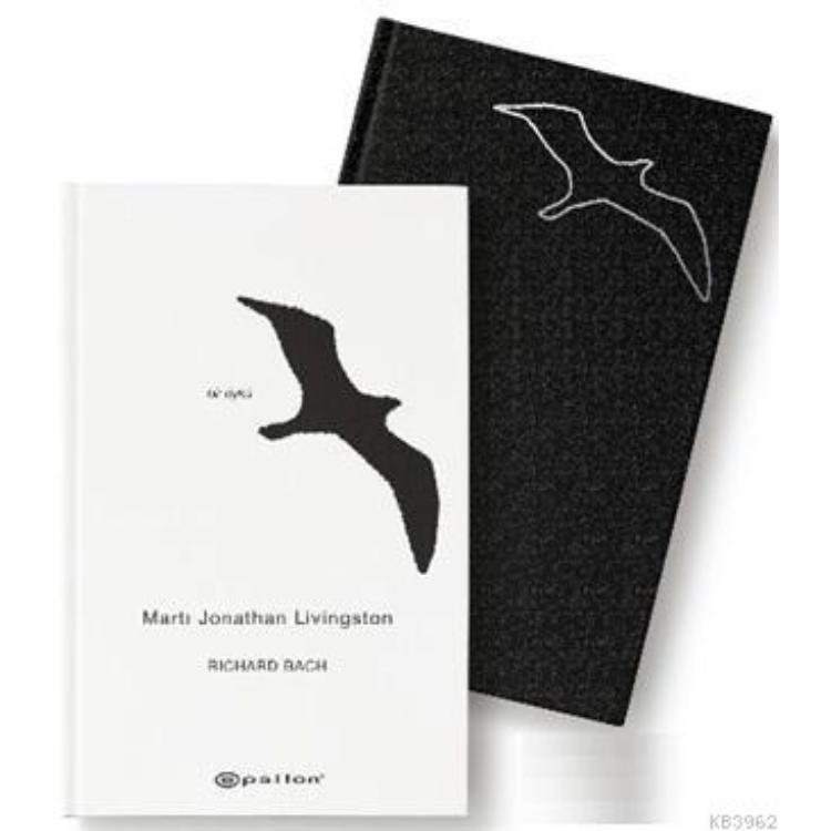 Martı Jonathan Livingston (Ciltli) Epsilon Yayınları