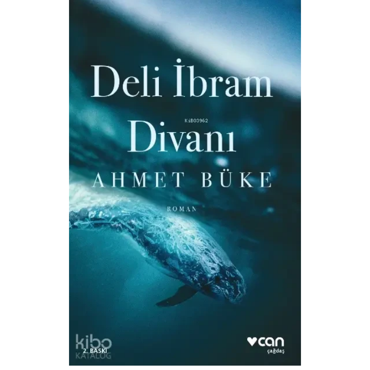 Deli İbram Divanı Can Yayınları