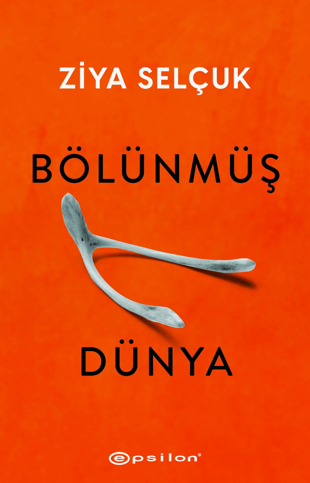 Bölünmüş Dünya Epsilon Yayınları