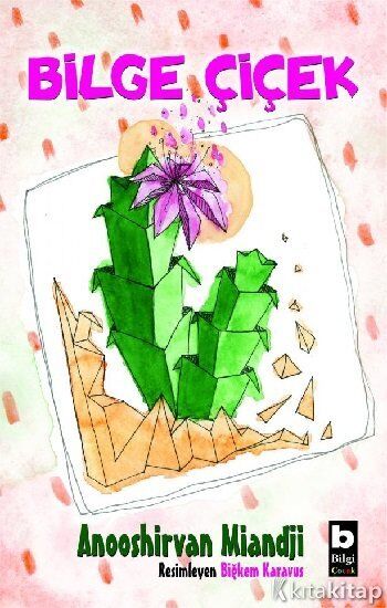 Bilge Çiçek Bilgi Yayınevi